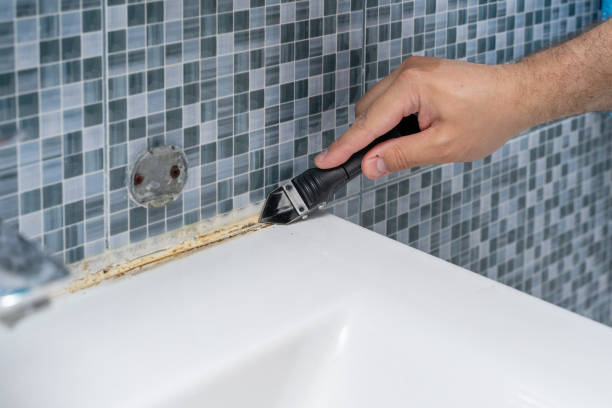 Best Preventive Mold Services in Yuba City, CA