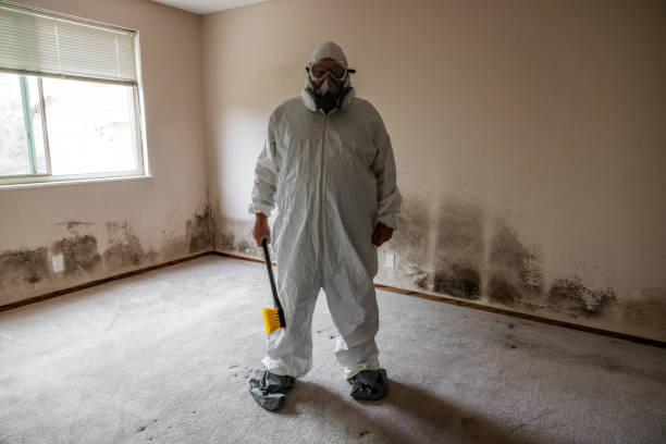 Best Post-Flood Mold Remediation in Yuba City, CA